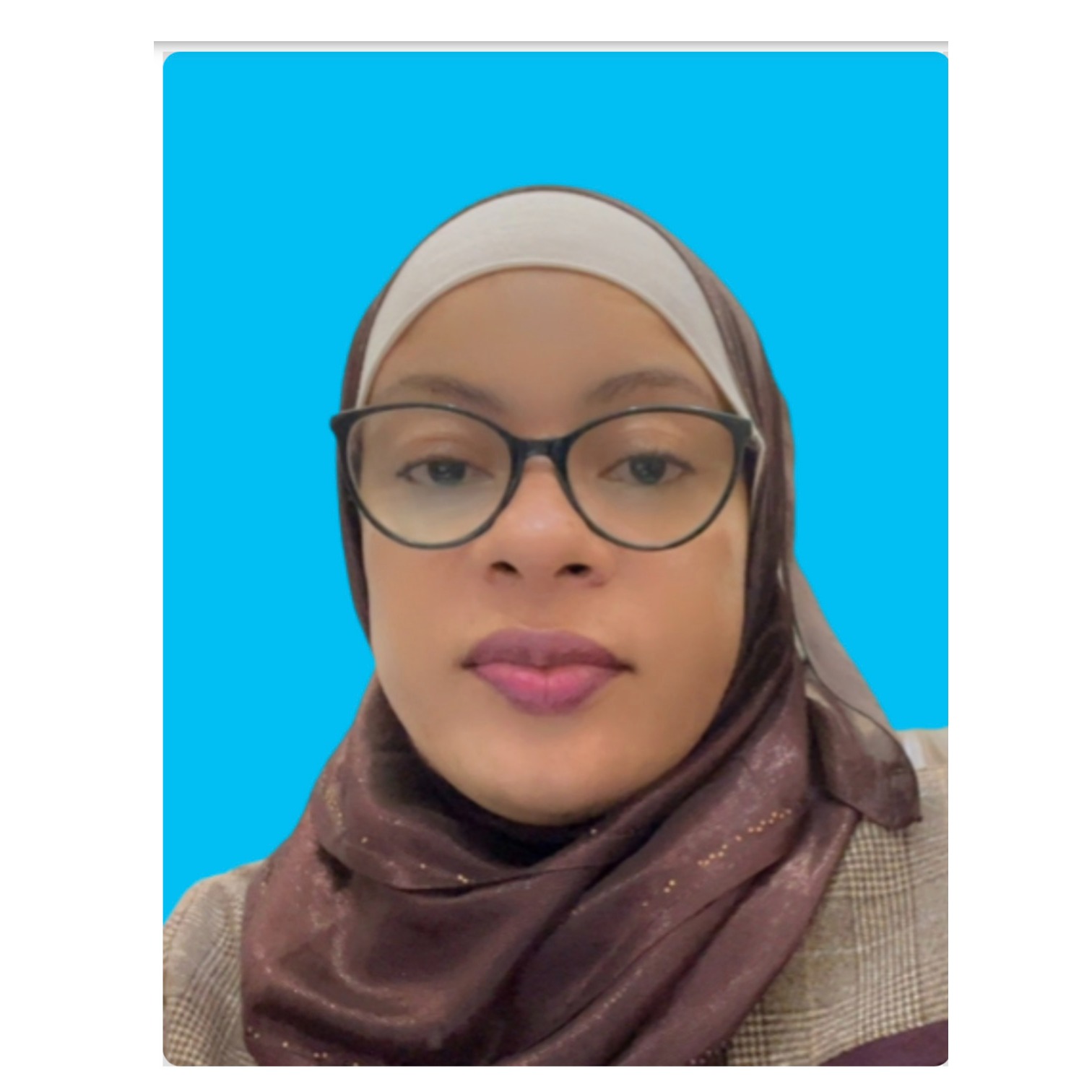 Ulfat Abdul-Aziz Ibrahim photo
